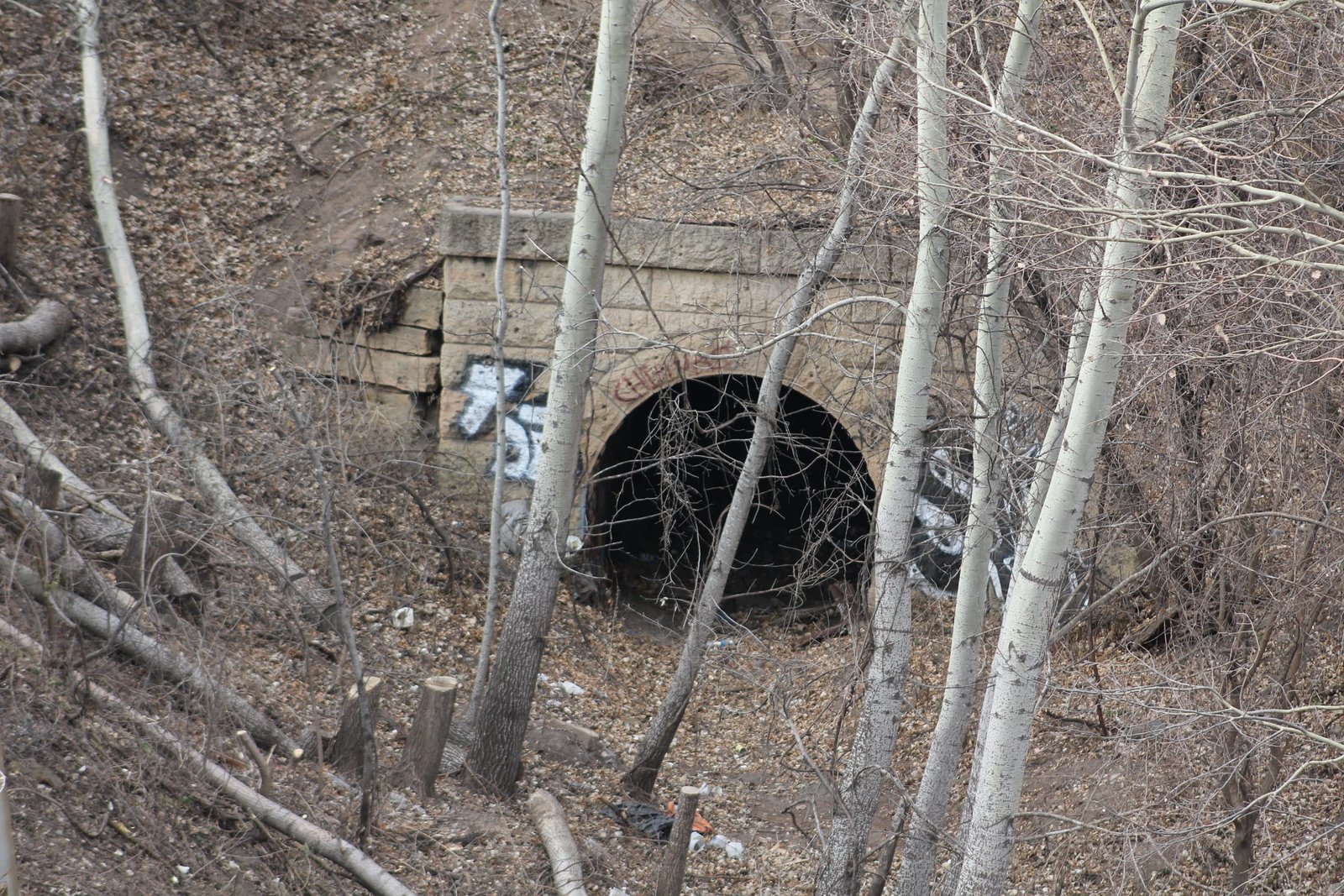 Stone arch over trout brook, located west of tunnel #4